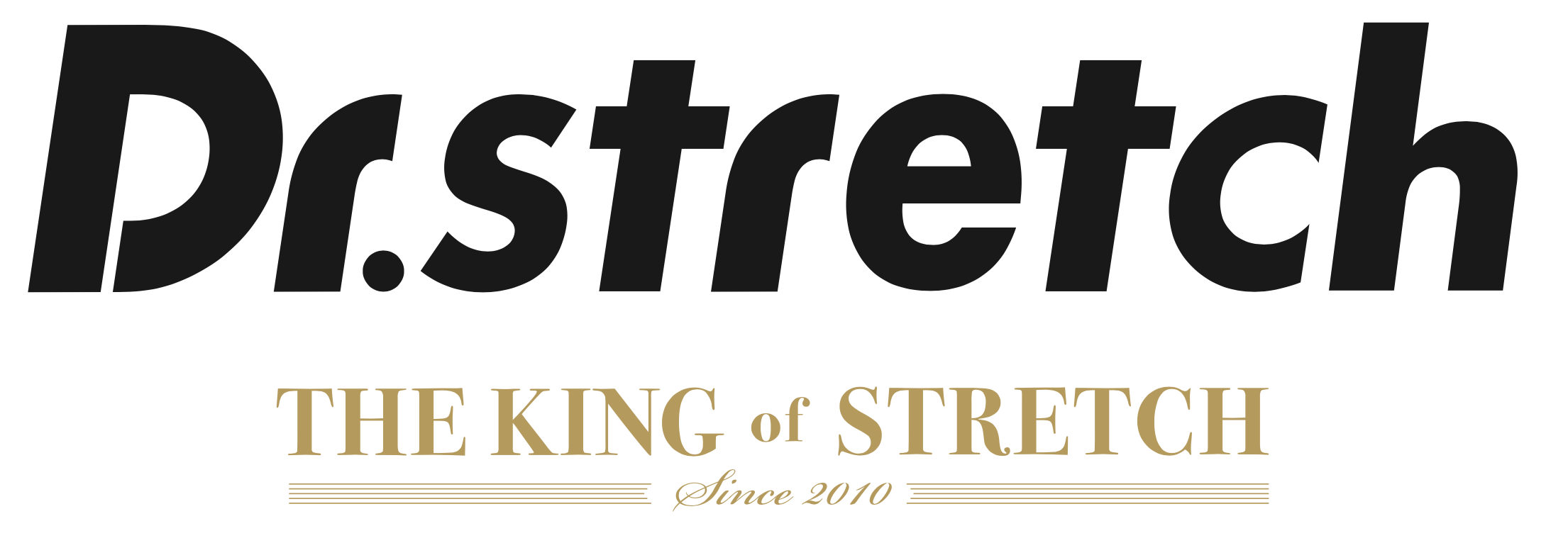 DR.STRETCH SINGAPORE PTE. LTD. Logo